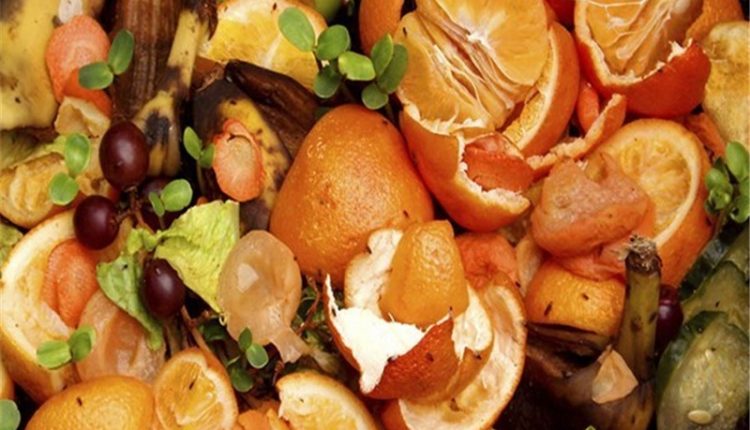 كاهش ضايعات محصولات باغي در دوره پس از برداشت