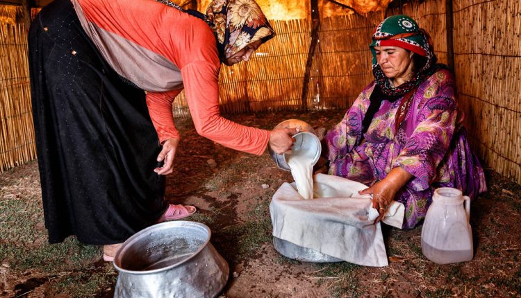 عشایر ذخایر انقلابند اگر سیاستمداران بگذارند