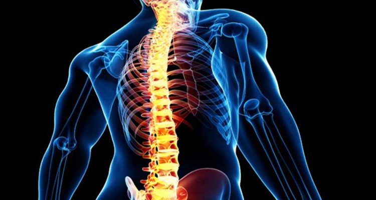 استئوميليت عفونتهاي عضلاني –اسكلتي