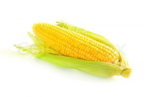 ذرت