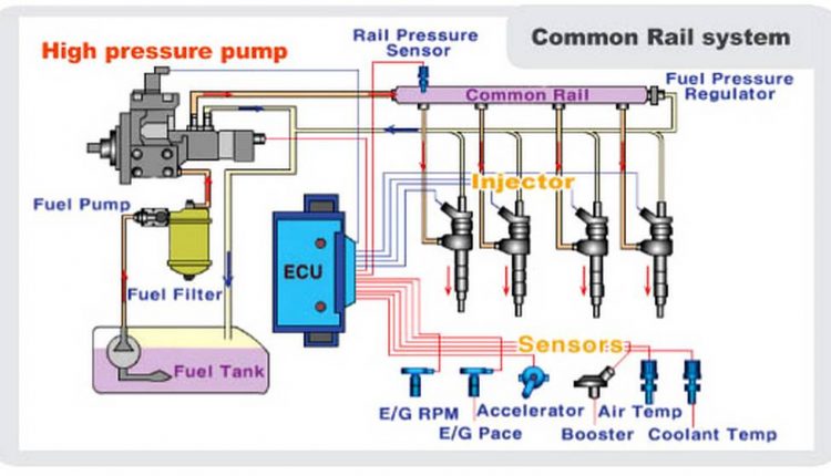 سيستم هيل بورن