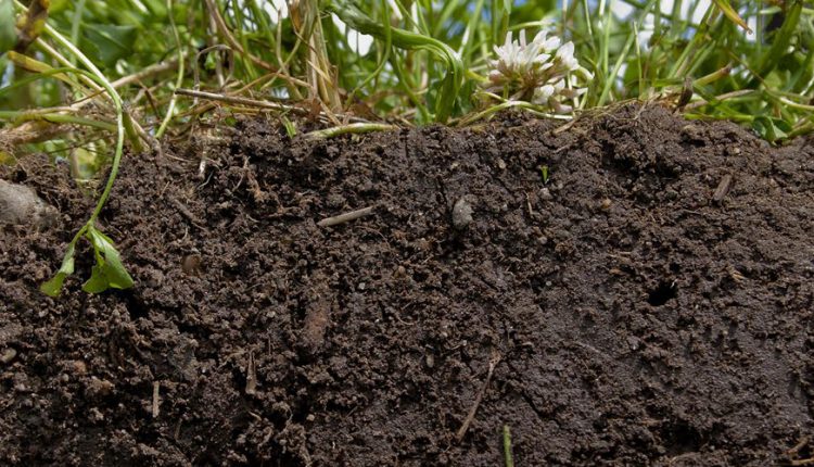 مواد آلي خاك