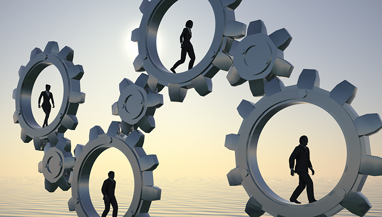 مدیریت سازمانی