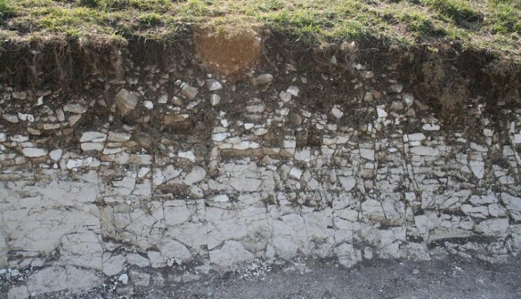 خاک های شور