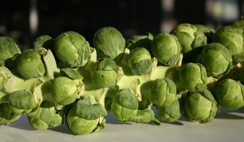 كلم بروكسل Brussels sprouts