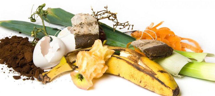 از جمع آوري زباله هاي غذايي تا پسماندهاي شهري