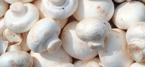 قارچ خوراکی دکمه ای