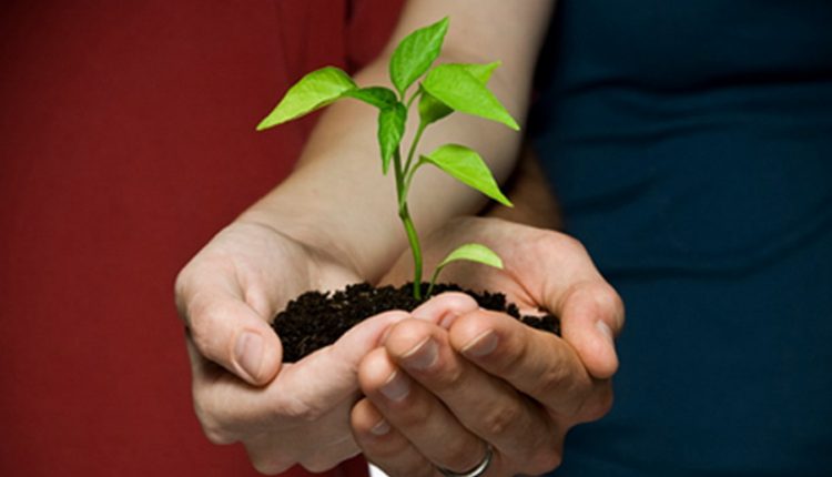 نقش همسران در تحكيم نظام خانواده