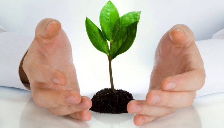 دلایل عدم استفاده از بیمه عمر در ایران